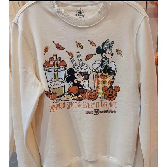 Disney Parks Pumpkin Spice and Everything Nice Pullover Sweatshirt - Picture 1 of 7